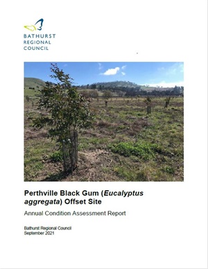 Perthville Black Gum Condition Assessment 2021.JPG