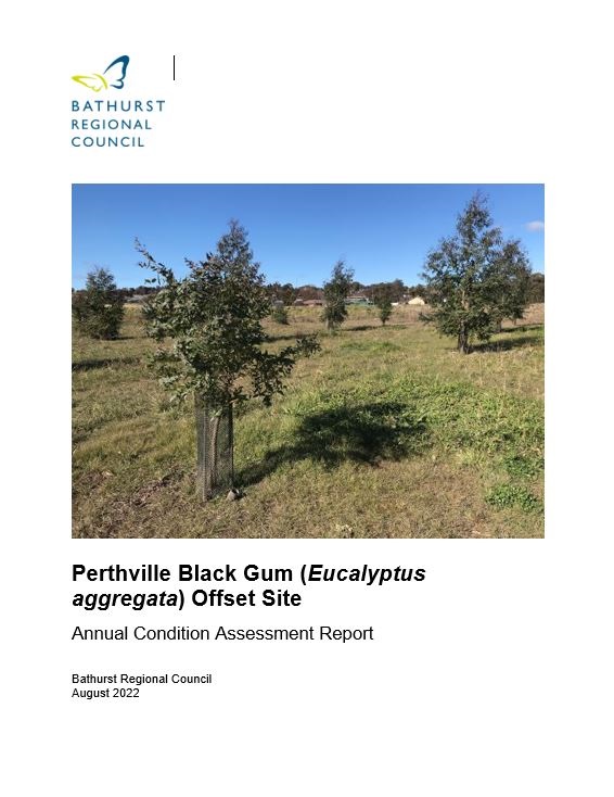 Perthville Black Gum Condition Assessment 2022.JPG