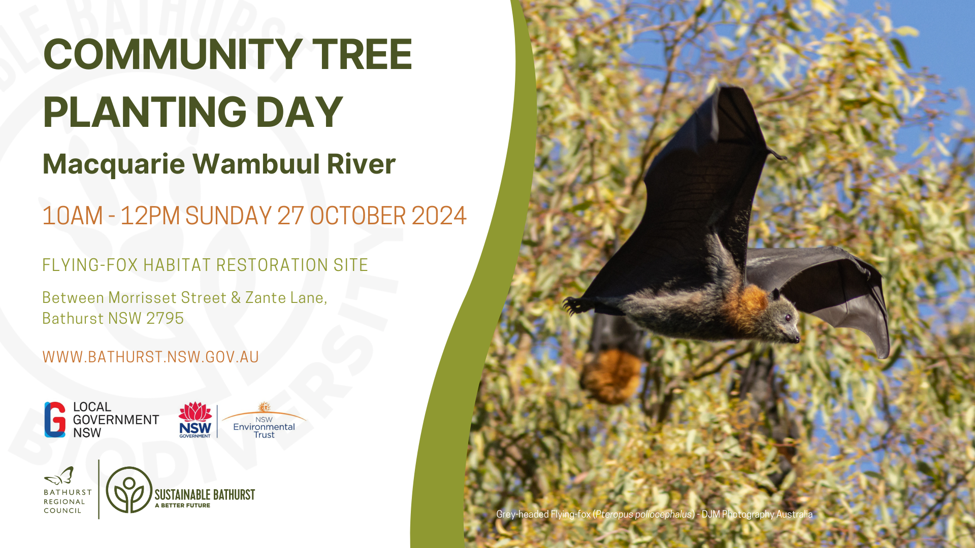 Wambuul FF FB Event Cover Image 27-10-2024.png