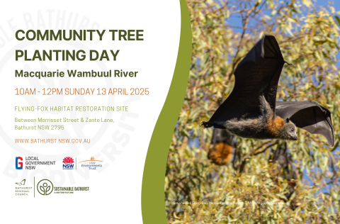 Wambuul FF BRC Event Cover Image 13-4-2025 (480 x 316 px).png