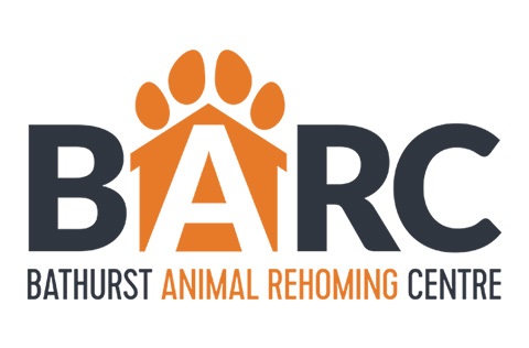 BARC logo for website copy.jpg